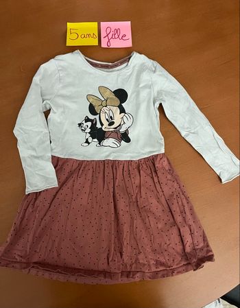 Robe Disney