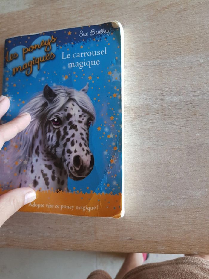 Le carrousel magique - Sue Bentley - photo numéro 4