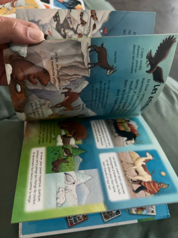 La petite imagerie la montagne - photo numéro 9