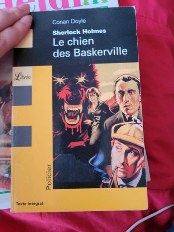 Livre Le Chien des Baskerville Sherlock Holmes