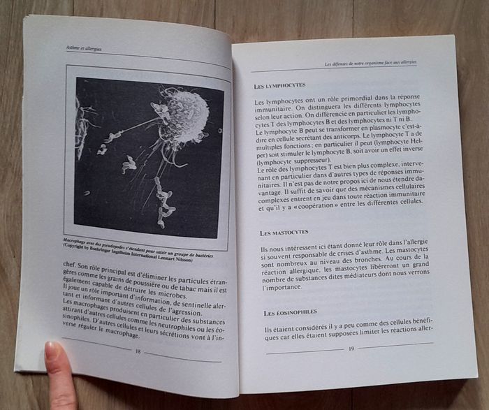 Allergies - Asthme et allergies - Dr Simone Wasmer (santé, science) - photo numéro 9