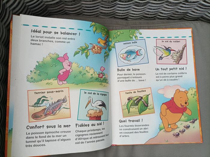 Livre "à la découverte des maisons des animaux" - photo numéro 6