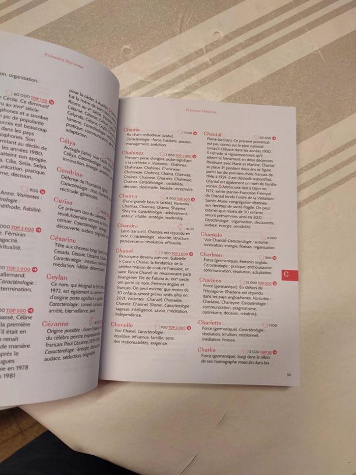 Livre des prénoms 2021 - photo numéro 3