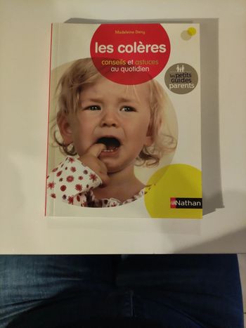 Les colères comment réagir lorsque son enfant pique une colère à la moindre contrariété ?