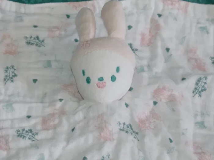 Doudou plat lapin rose blanc végétaux Orchestra 🐰tbe - photo numéro 2