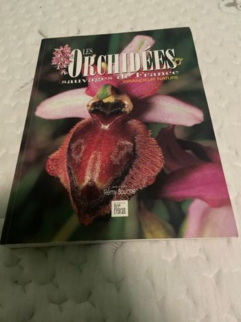 Les orchidées