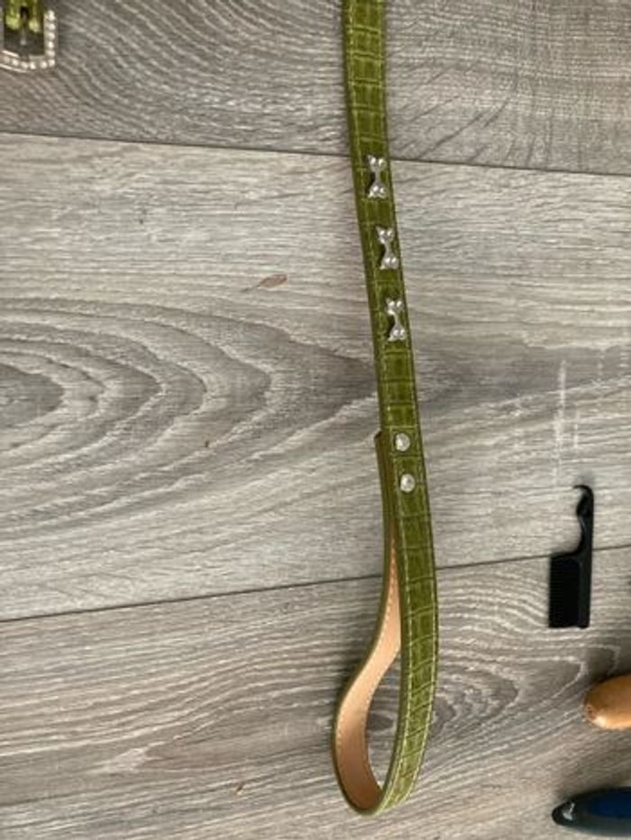 Ensemble collier et laisse pour chien - photo numéro 6