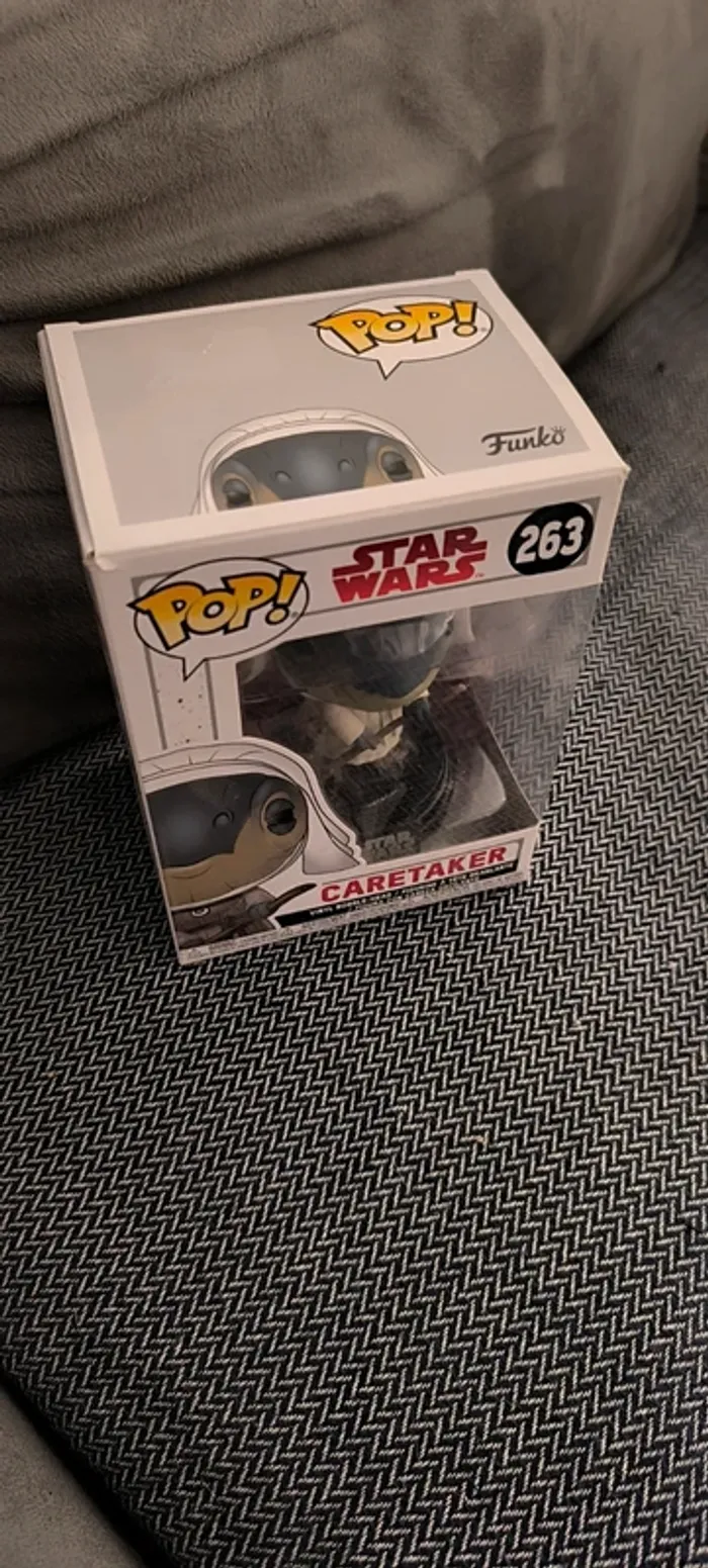 Pop caretaker n° 263 - photo numéro 2