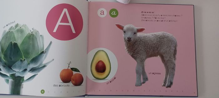 Livre les lettres neuf. - photo numéro 3