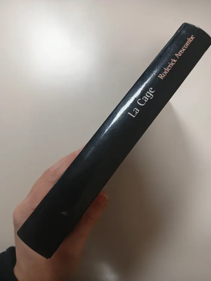 La cage de Roderick Anscombe - photo numéro 3