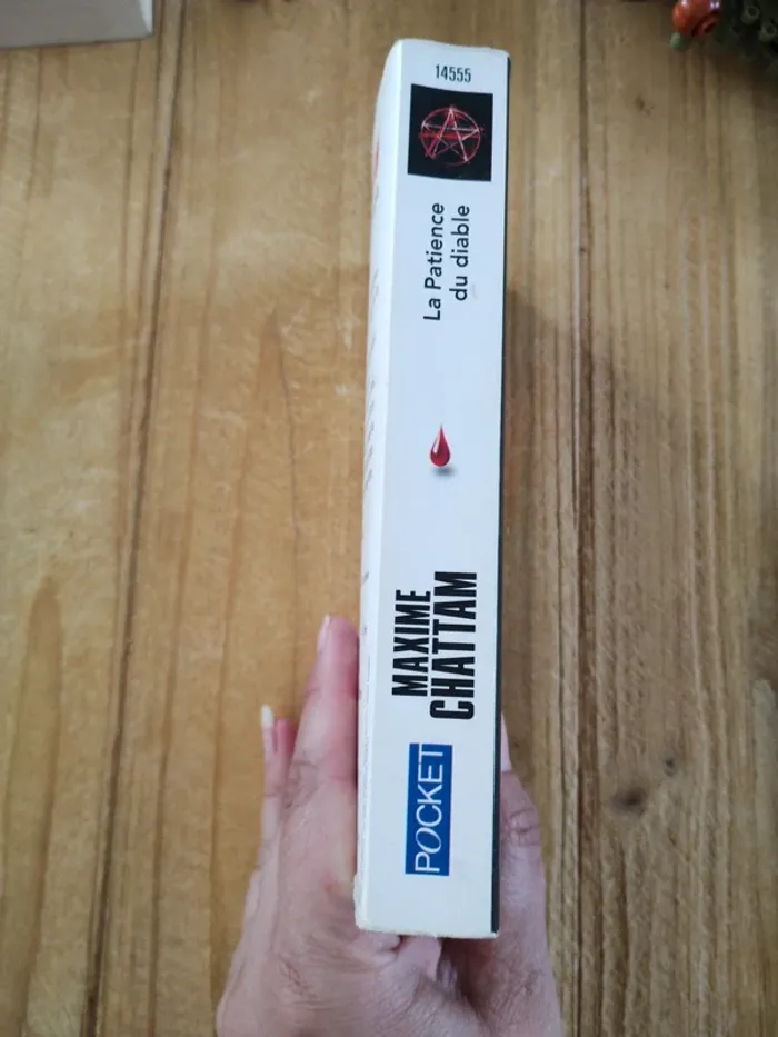 Saga "Ludivine Vancker" - Tome 1 à 3 - Maxime Chattam - photo numéro 10