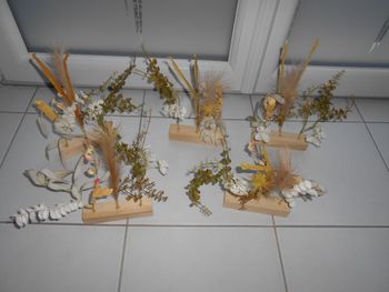 Lot de 5 compositions sur socle en bois