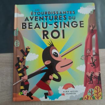 livre grand format - les étourdissantes aventures du beau-singe roi