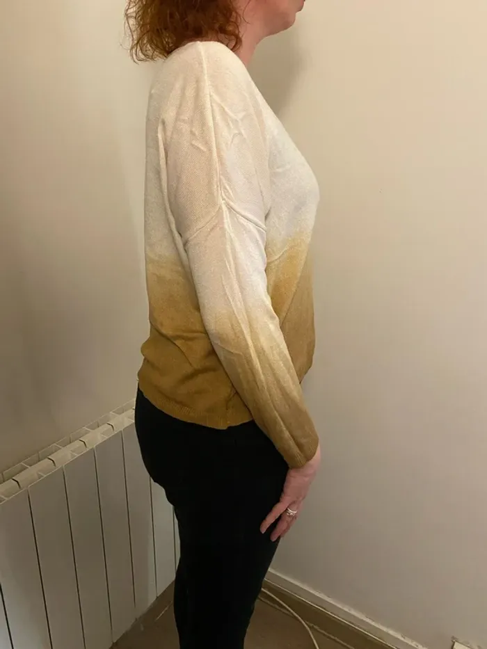 Pull col V d’été - photo numéro 2