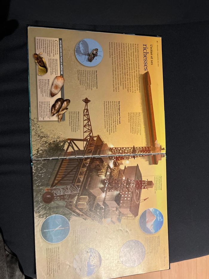 Livre pour enfants les océans à la loupe - photo numéro 4