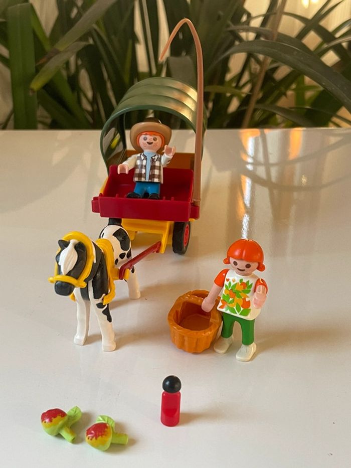 Playmobil enfants avec chariot et poney 6948