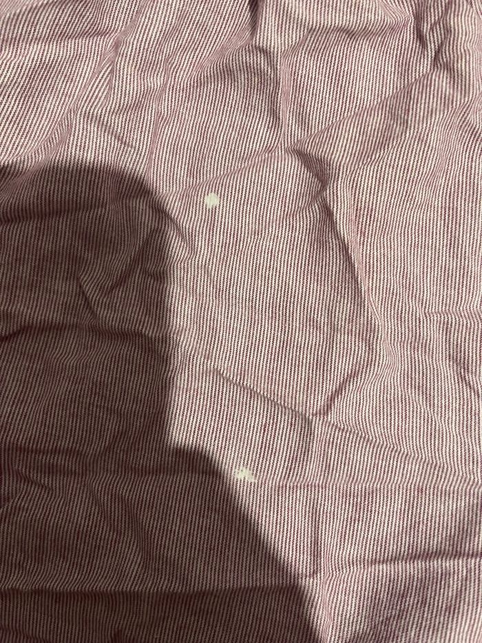 Short - photo numéro 2