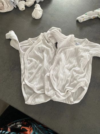 Lot 2 body