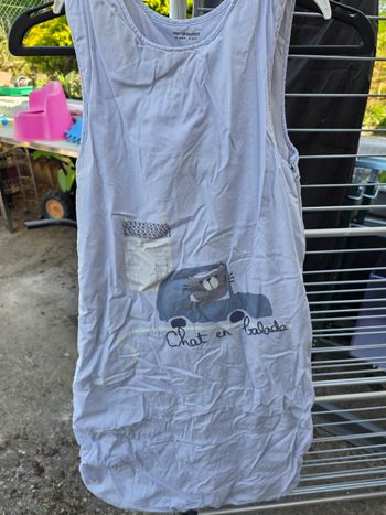 Gigoteuse chaude chat en balade 