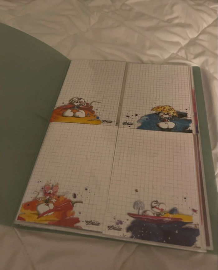 Porte-vue 100 feuilles Diddl 🐭💚