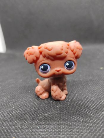 my Littlest Petshop LPS chien bichon frisé frize 39 dog #geektradelpschien