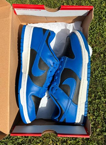 Baskets Nike dunk low cobalt blue pointure 41 neuves