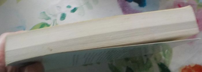 La fille du goémonier de Colette Vlérick Ed. Presses de la Cité - photo numéro 5