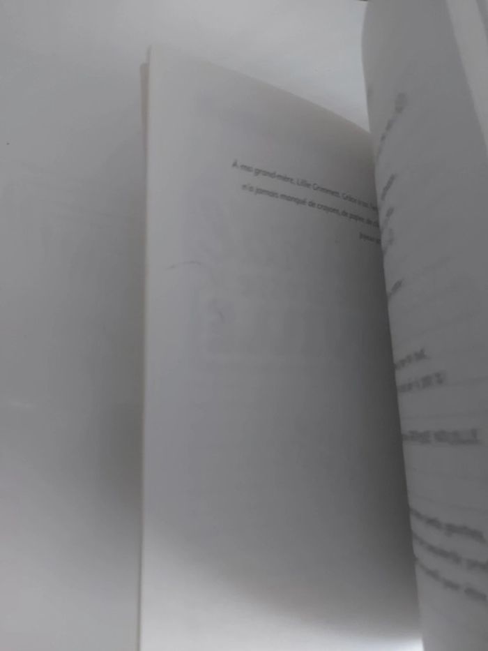 Le journal d'une grosse nouille n°3 - photo numéro 5