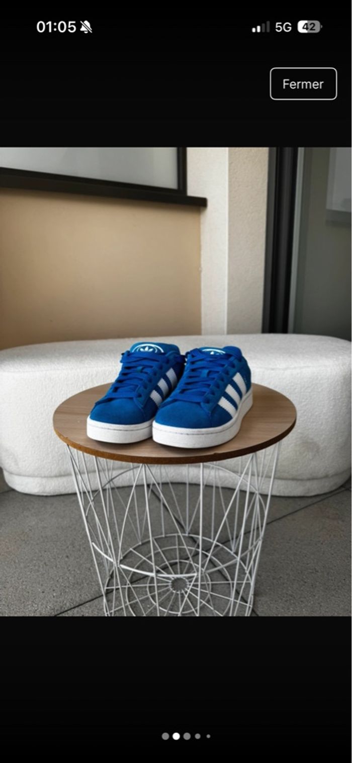 campus - photo numéro 2