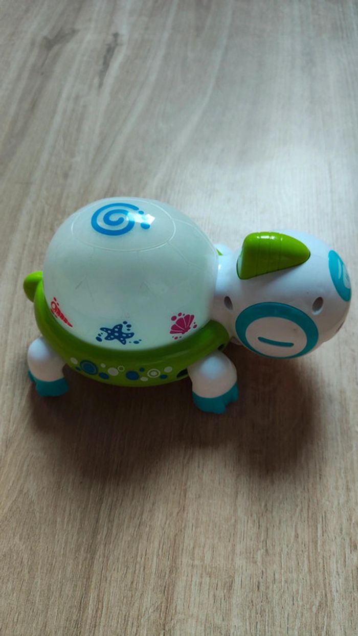 Tortue - photo numéro 2