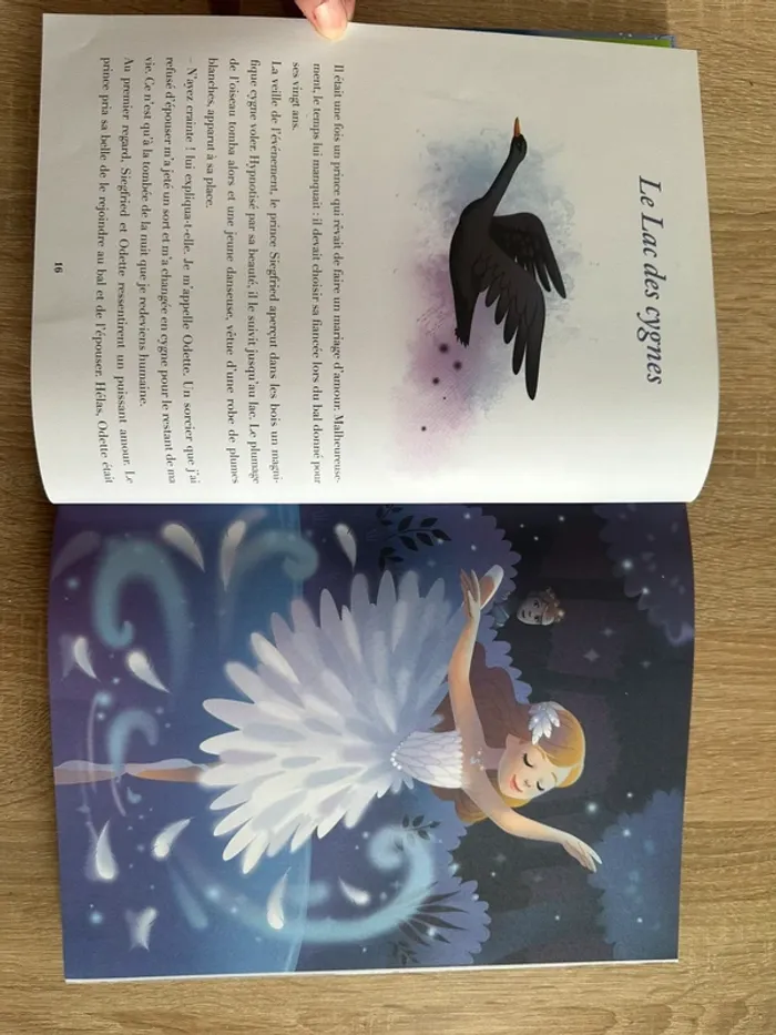 Livre - photo numéro 4