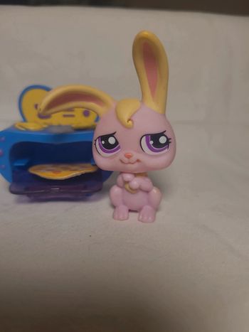 lapin petshop et son four à pizza