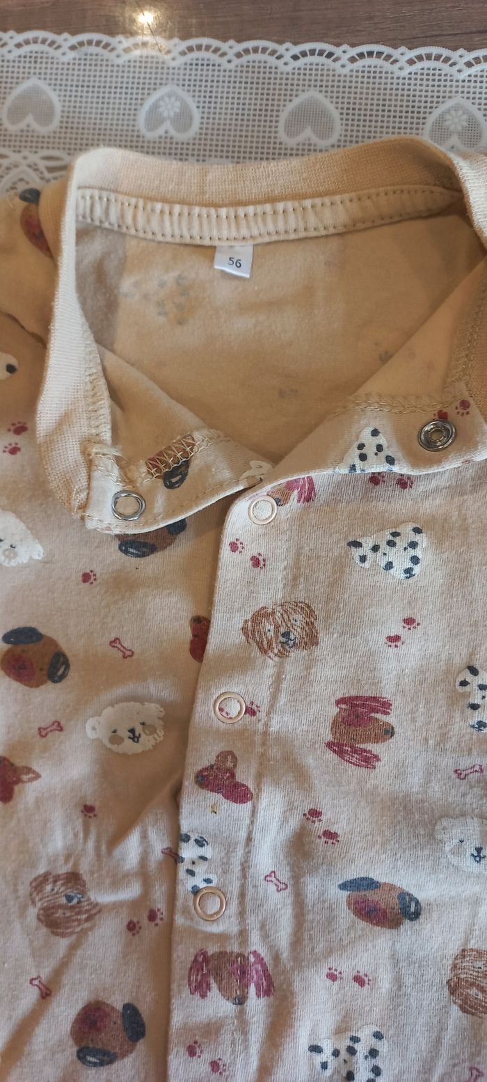 Grenouillère - photo numéro 2