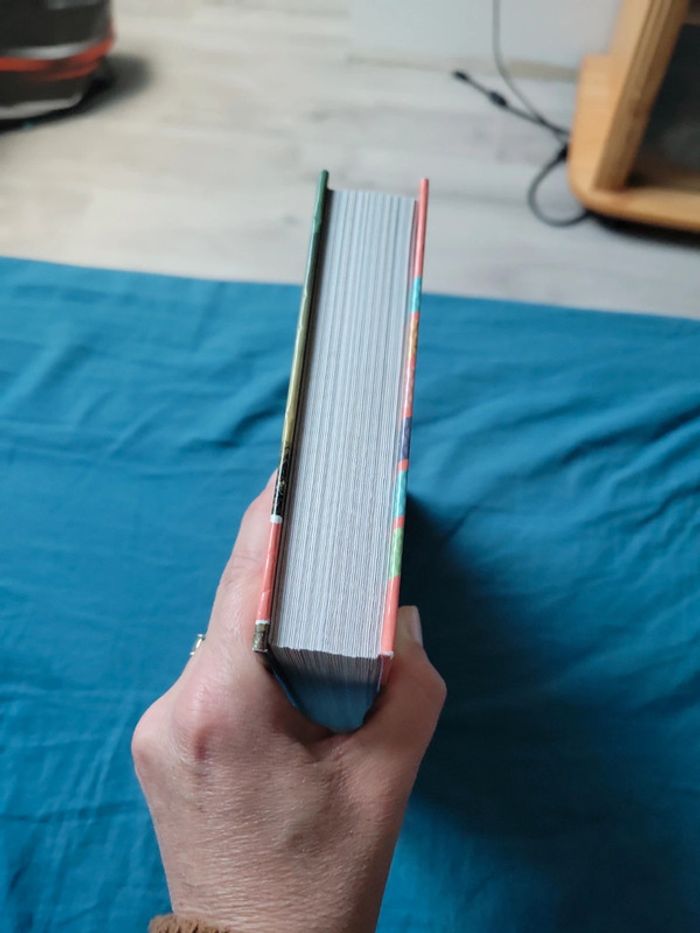 Livre sur les dinosaures enfant - photo numéro 6