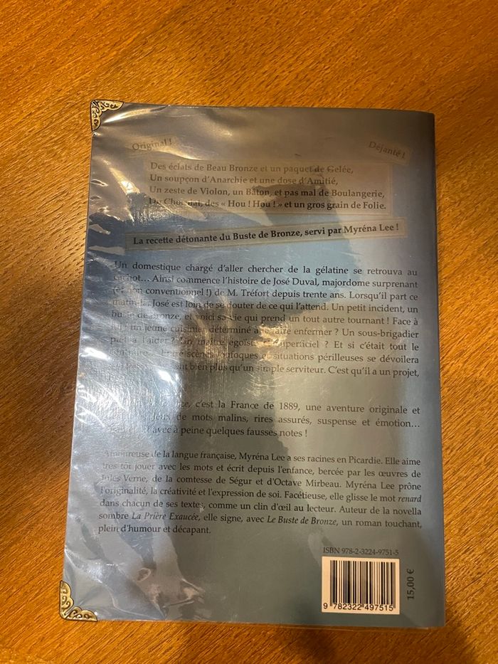 Le buste de bronze - photo numéro 2