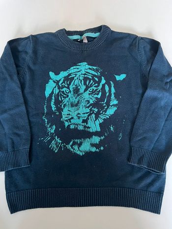 Pull lion 6 ans garçon orchestra