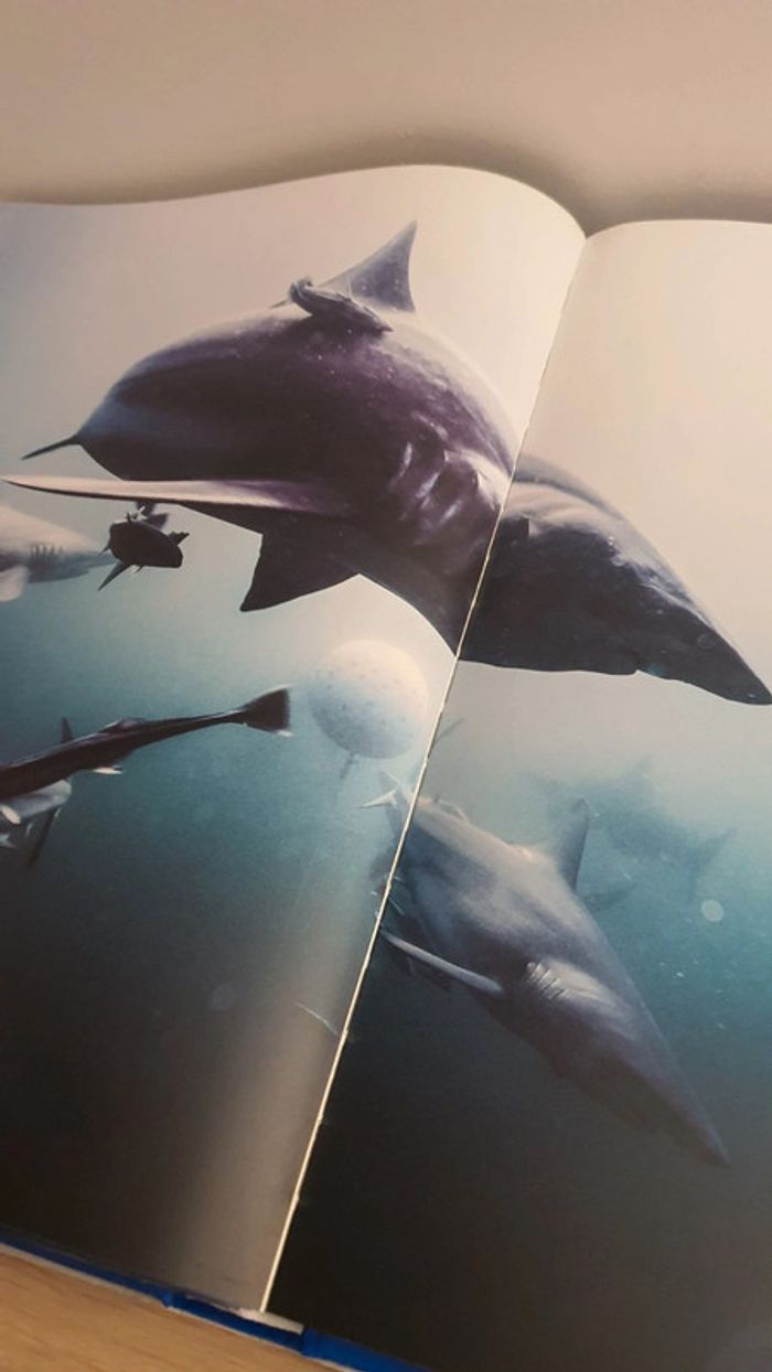 Livre Requins Michel Muller Taschen - photo numéro 9