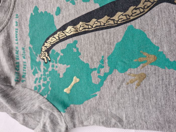 T-shirts manches courtes 2/4 ans H&M Gris chiné Squelette de dinosaure Brachiosaure carte du monde - photo numéro 4