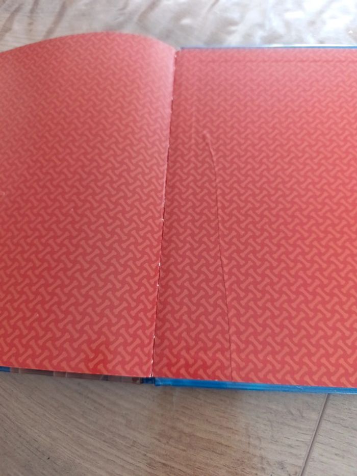 Livre pat patrouille - photo numéro 5