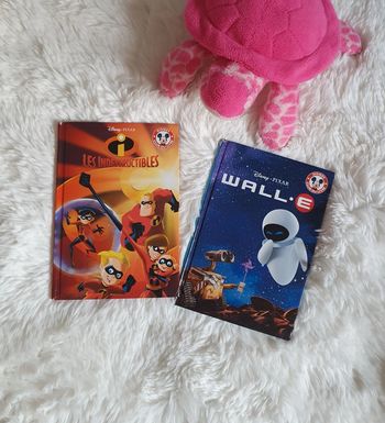 📚Lot 2 livres Disney 📚