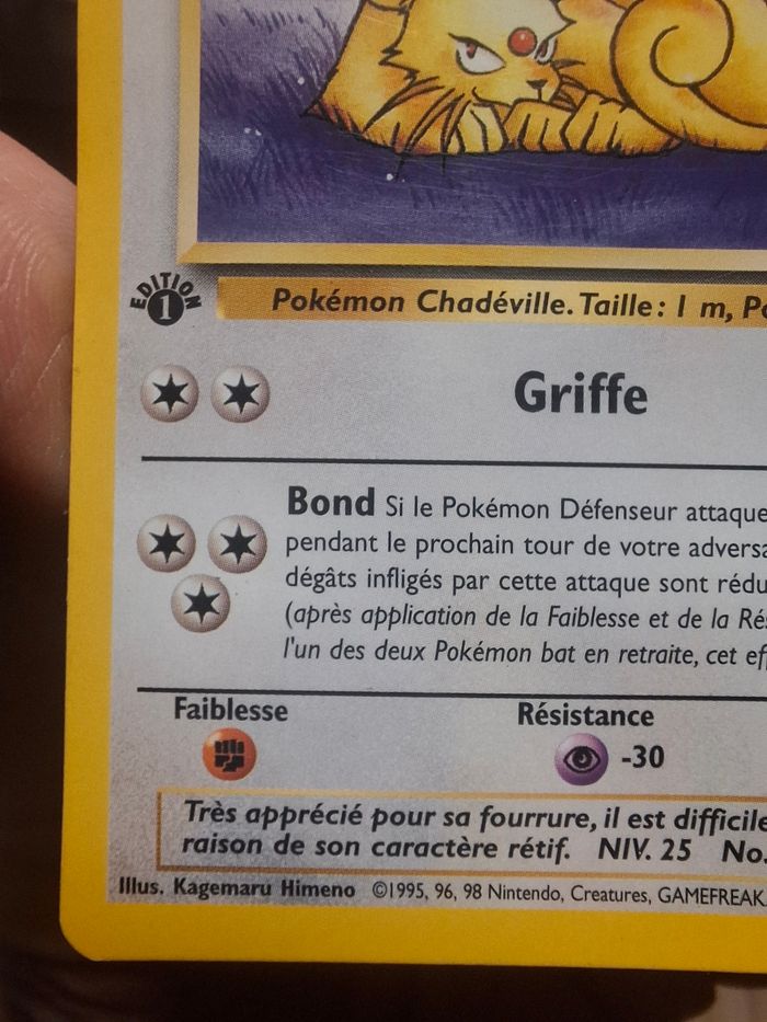 Persian Edition 1 Jungle Wizards - photo numéro 5