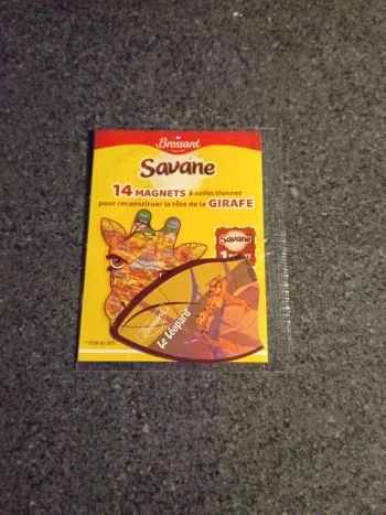 Magnet tête de girafe savane