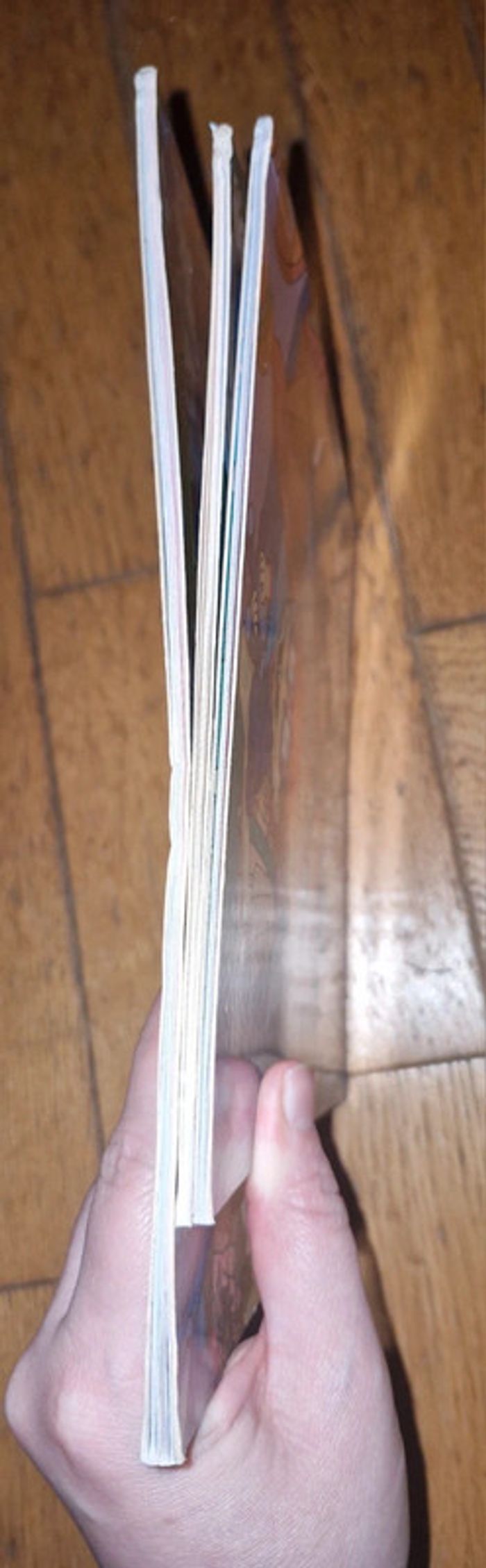 Lot de 3 livres les Razmoket à Paris - photo numéro 5