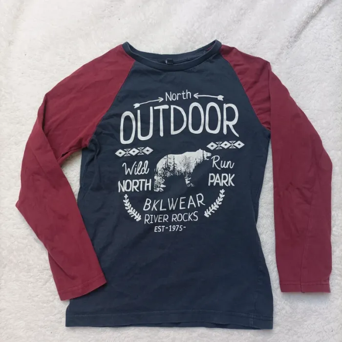 Lot 4 manches longues 10 ans - photo numéro 4