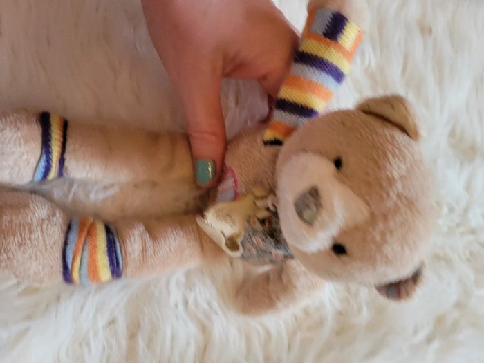 Ours histoire d ours - photo numéro 2