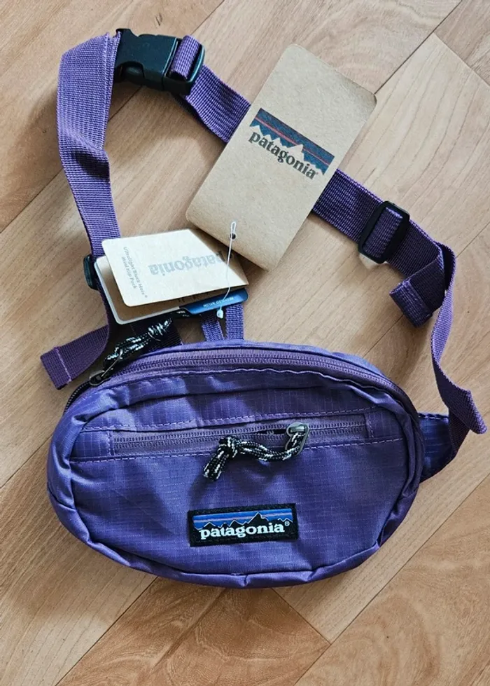 Patagonia Mini Hip Pack – Violet