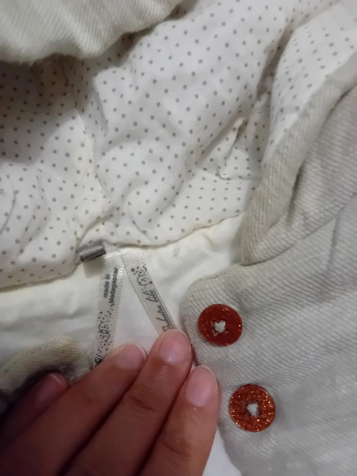 Monteau orchetra - photo numéro 2