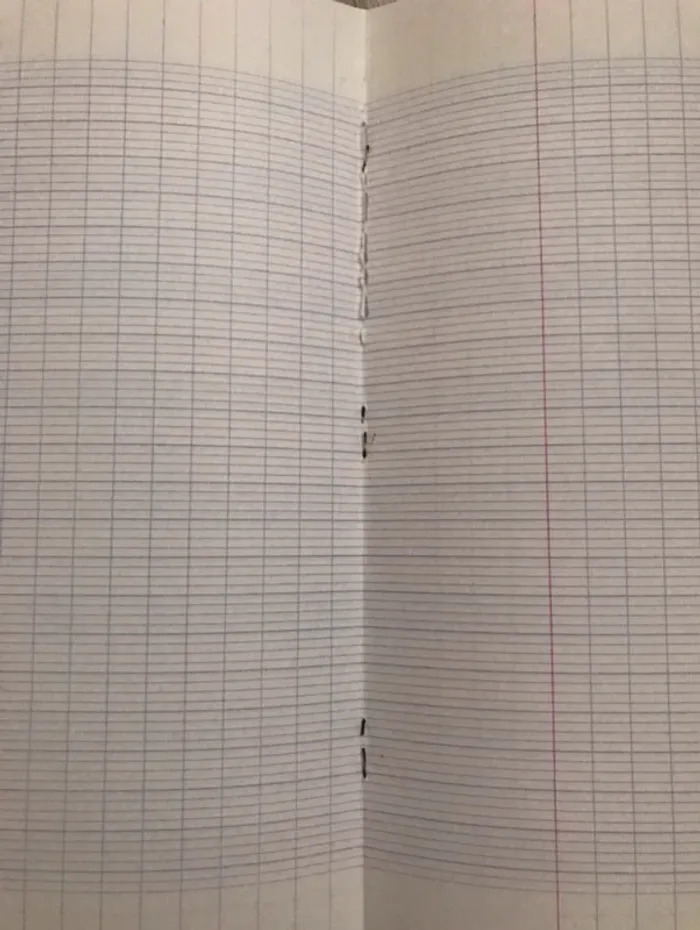 vintage cahier musique chant format  feuilles Séyès (grands carreaux) et feuilles musique - photo numéro 3