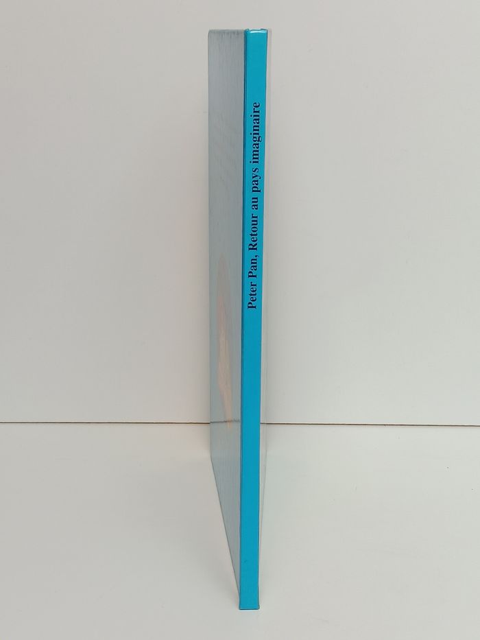 Livre Disney club du livre Peter Pan retour au pays imaginaire - photo numéro 2