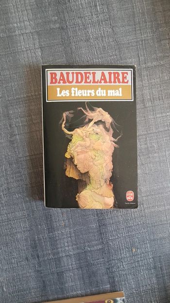 Les fleurs du mal Baudelaire